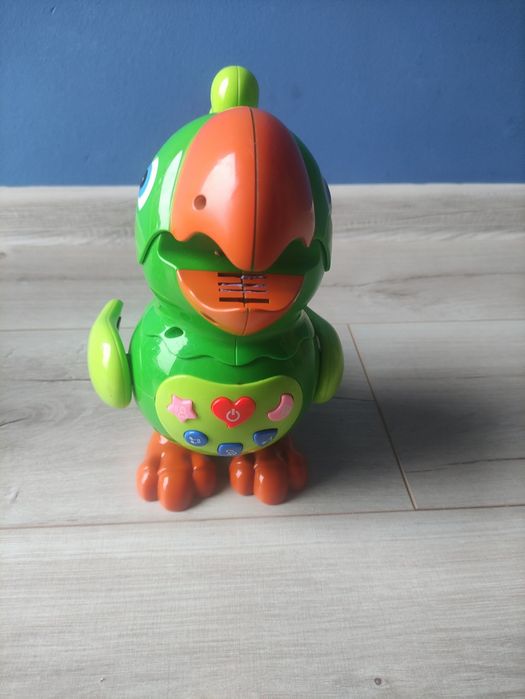 Gadająca papuga dla dzieci