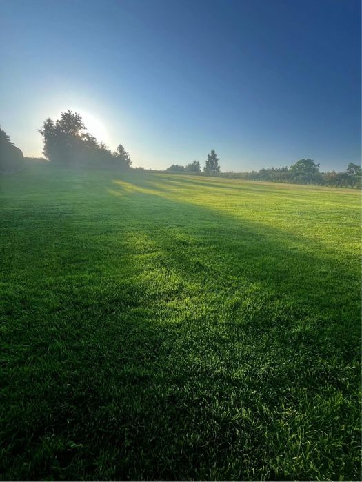 Usługi ogrodnicze, przycinanie, koszenie, glebogryzarka, rębak Ustroń