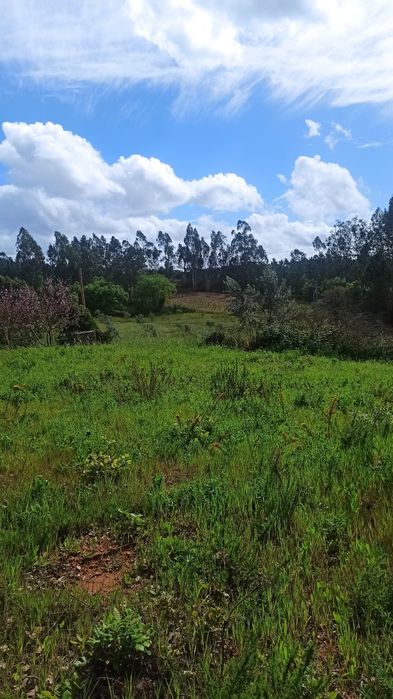 Terreno para venda / Granja do Ulmeiro