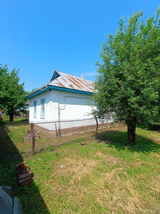 Цегляний будинок в с. Боромики