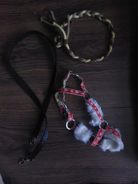 Hobby horse A3 piękny