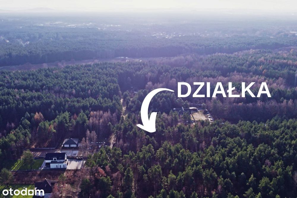 W nowej cenie - Piękna działka w otoczeniu lasu