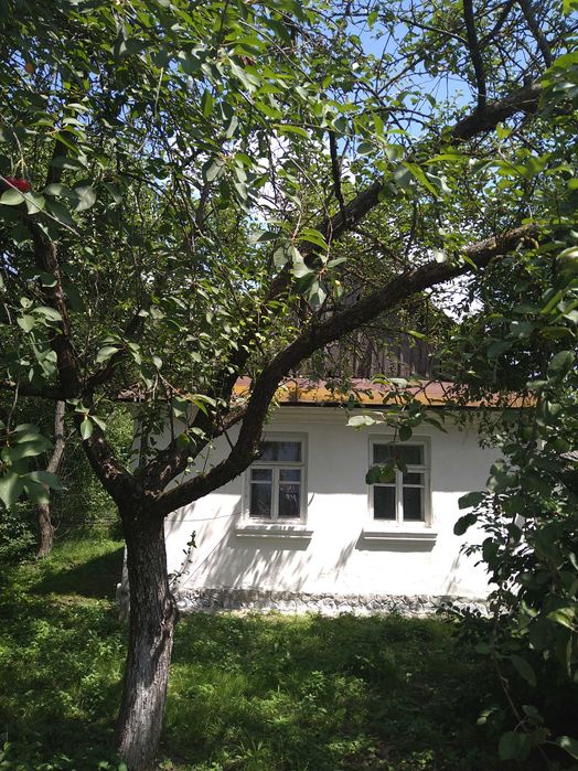 Продаж будинку та земельної ділянки 50 соток, місто Берестечко