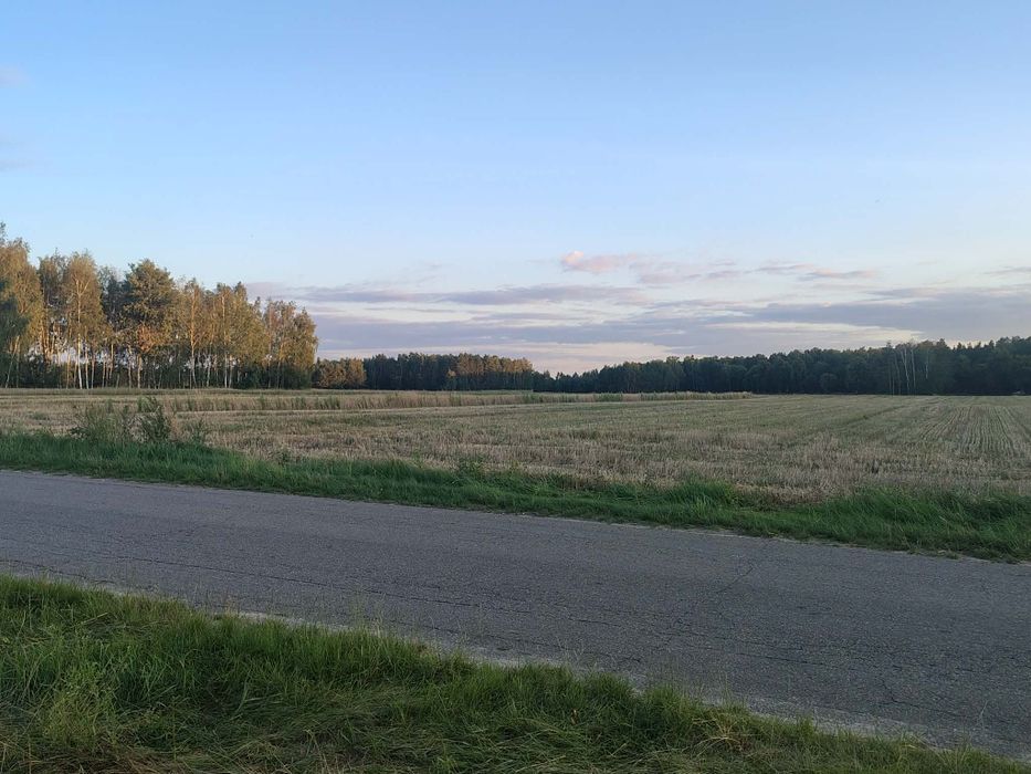 Sprzedam działkę budowlana Swory - Widok 4