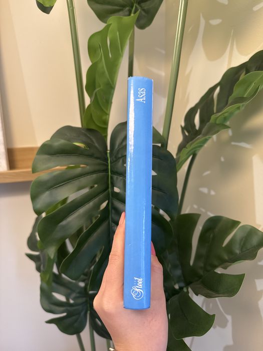 Livro de Capa dura “Asas” de Danielle Steel