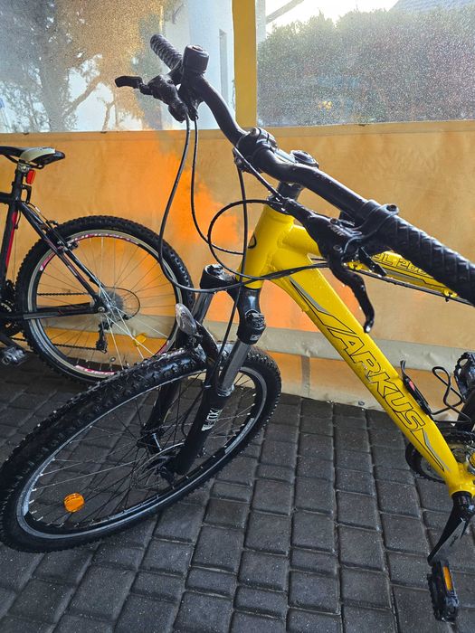 Rower arkus beryl 260