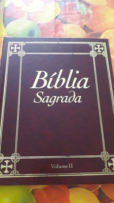 15 volumes da BÍBLIA SAGRADA