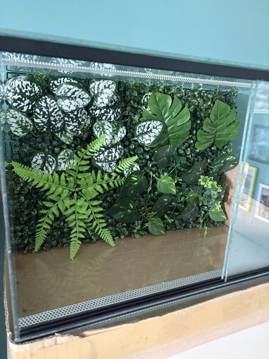Terrarium szkalne