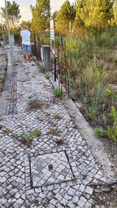 Terreno para construção loteado Bustelo, Oliveira de  Azeméis