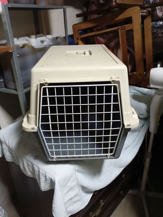 Transportadora de animais