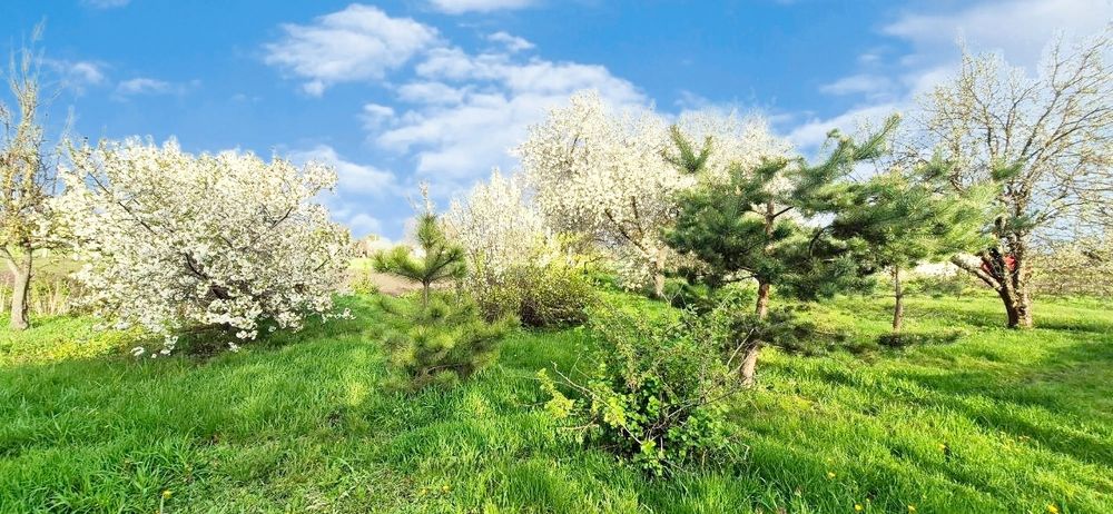 ПРОДАМ будинок в с. Губиниха, Самарівський район.