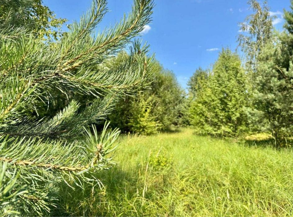 Земельна ділянка 1 га у Бучанському районі, Київська область