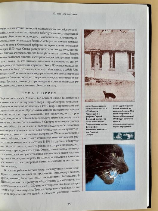 Книга Таинственные существа