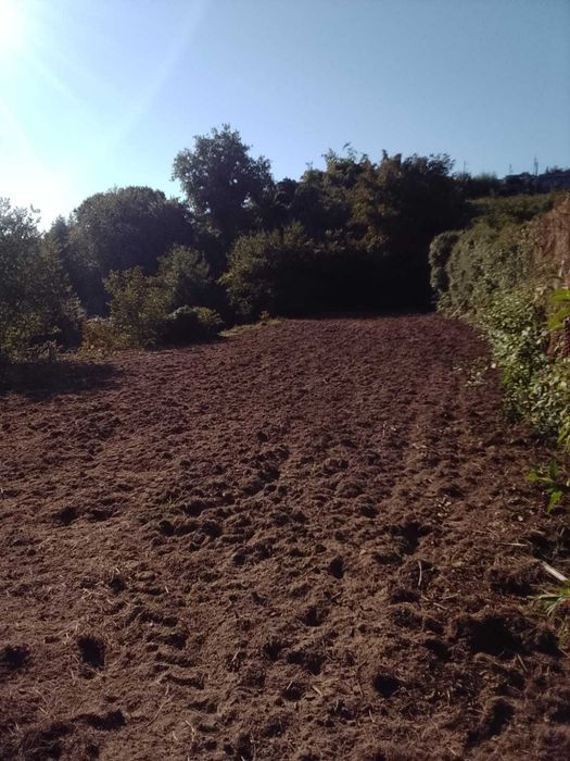 Terreno agricula