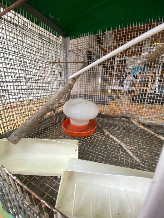 Gaiola Pássaros Grande cerca de 1mx1m