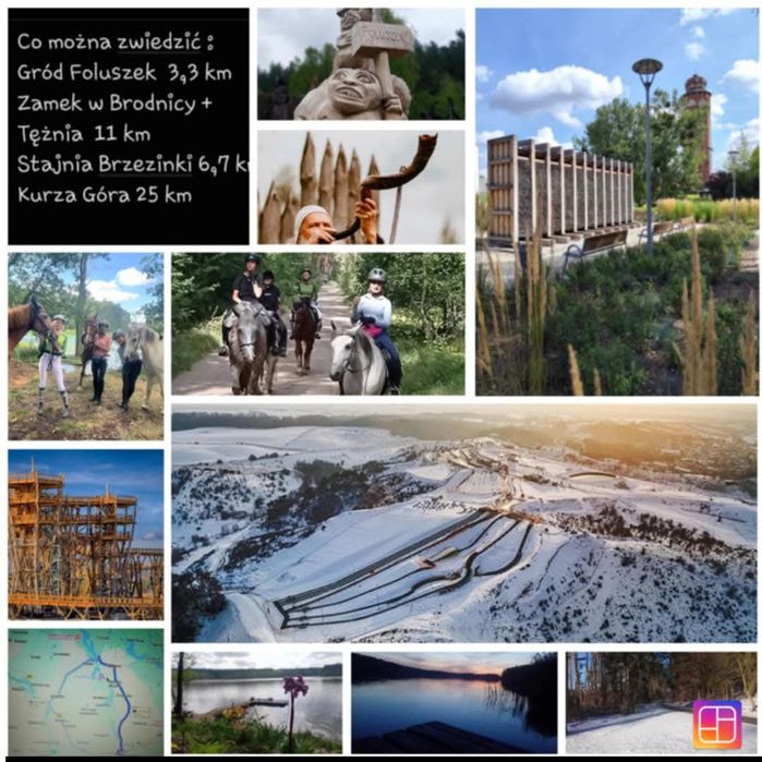 Pokoje do wynajecia Zbiczno.