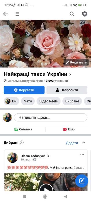 Шикарні таксята готові до продажу.