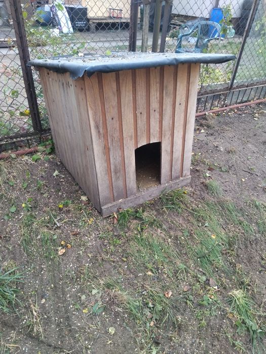 Oddam Bude  dla małego psa