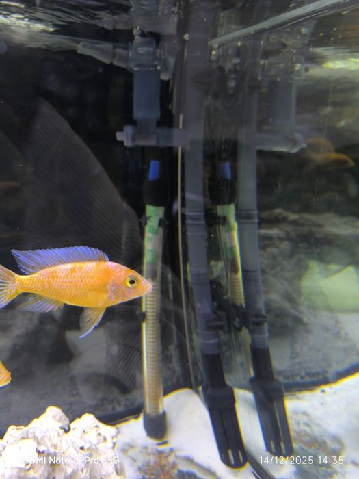 Aquário com tudo incluído mudança de casa