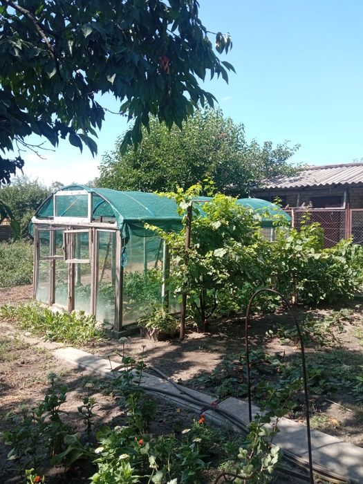Продам будинок у місті Олександрія