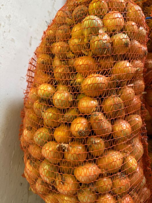 Sprzedam cebulę na worek