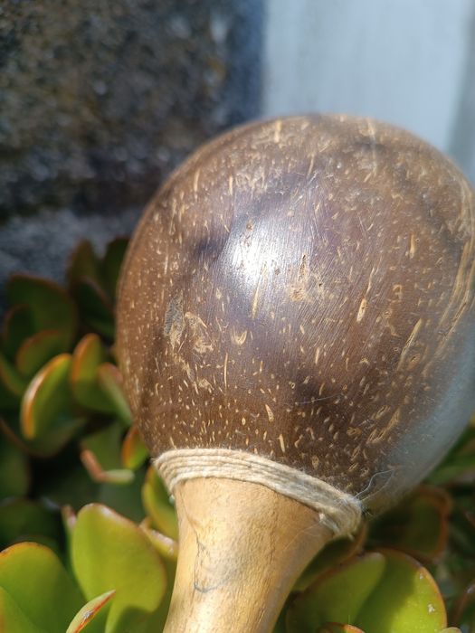 Marraca percussão