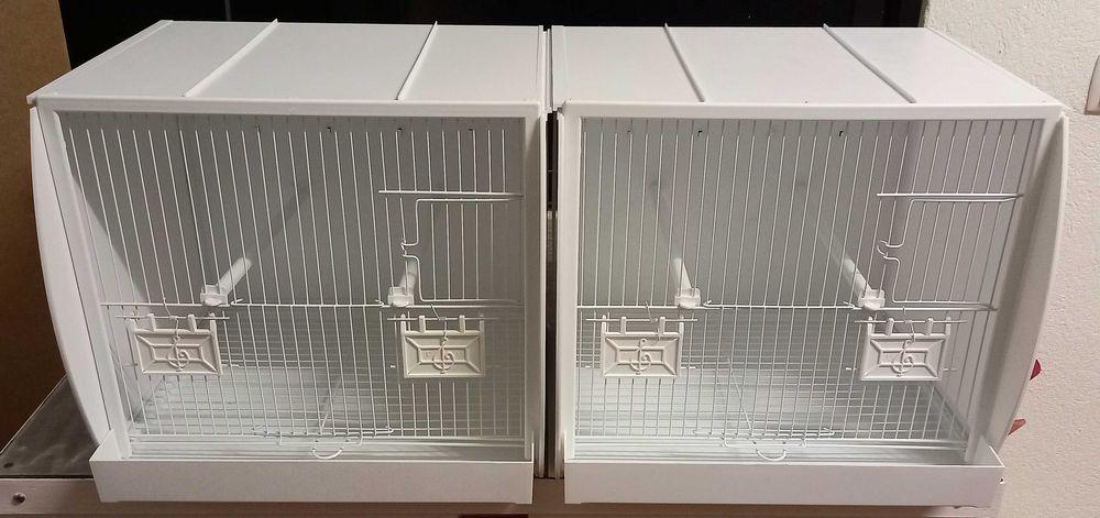 Viveiro orniex canários pássaros