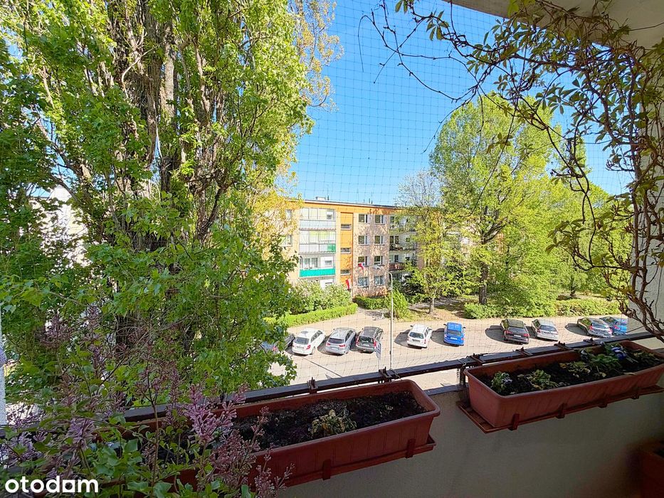 Gotowe do zamieszkania | 2 pok + osobna kuchnia | Balkon | Wierzbno | - Widok 2