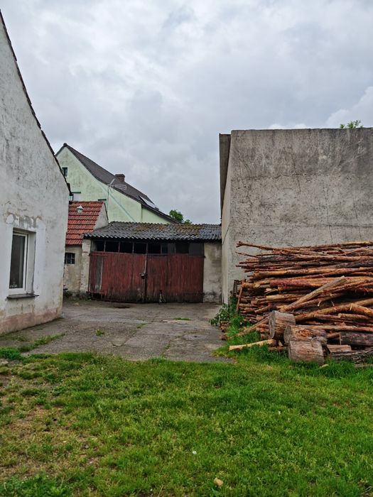 Dom – Trzebiel - Więcej