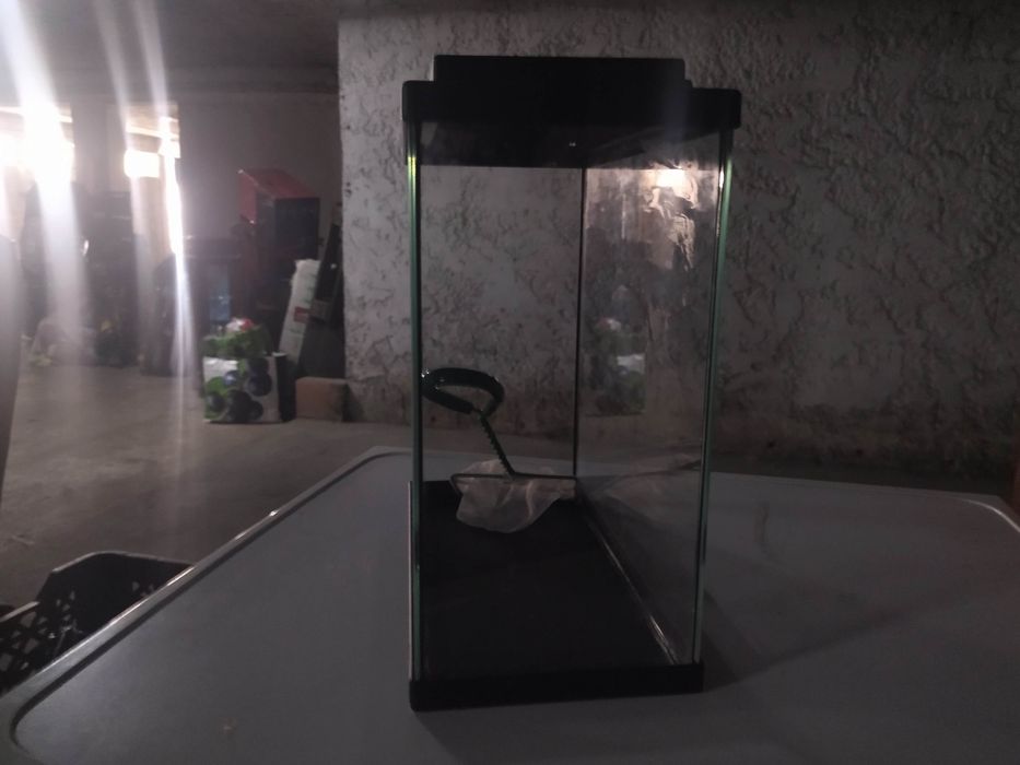 Aquário pequeno 25l