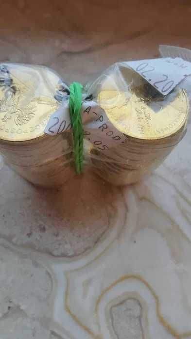 ZESTAW: 3x Foka Szara + 3x Poniatowski