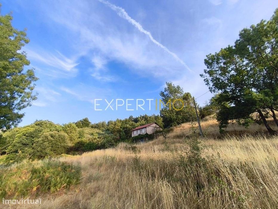 Mixed Quinta of 4.8 Hectares with Urban Building – Moimenta da...