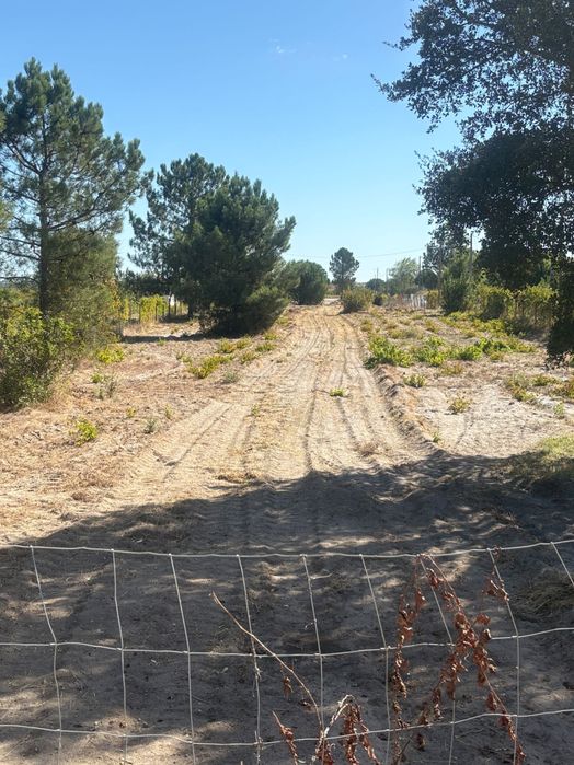 Terreno com 7.000 metros quadrados