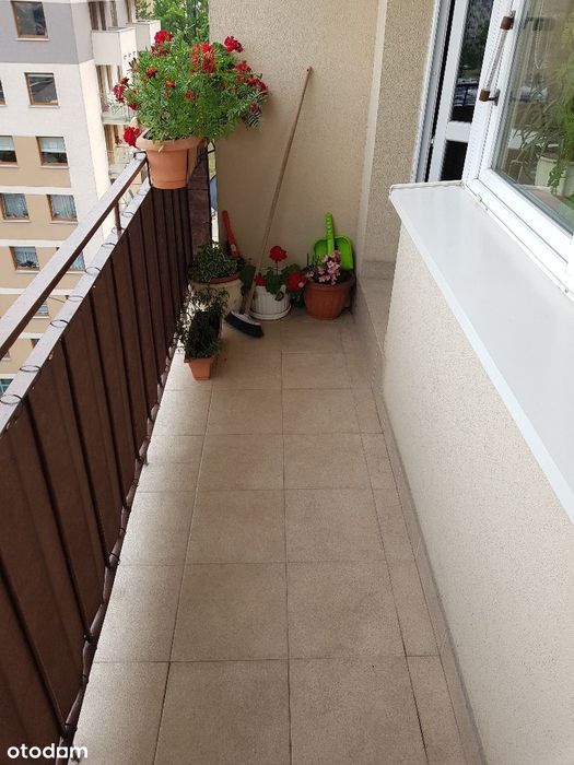 Mieszkanie dwupokojowe Kielce Seminaryjska 49,57 m2 2 pokoje Centrum