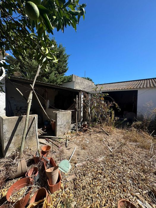 Preço Revisto | Moradia Rústica T3 com jardim, garagem e anexo