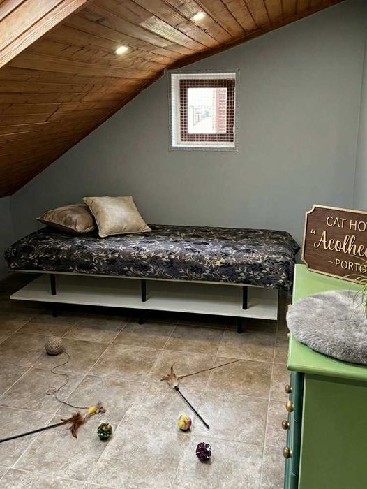 Hospedagem Familiar | Passeios | Pet Sitting