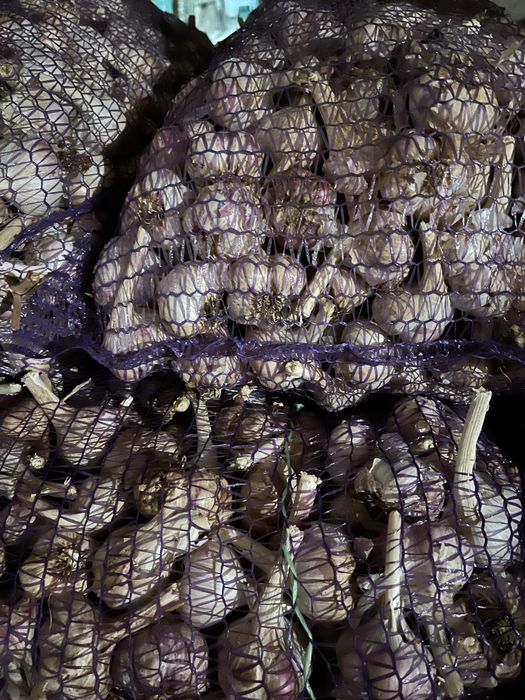 Часник / чеснок опт / розница