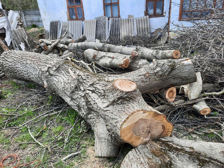Продам 6 стовбурів горіха об'єм понад 2 м.куб.