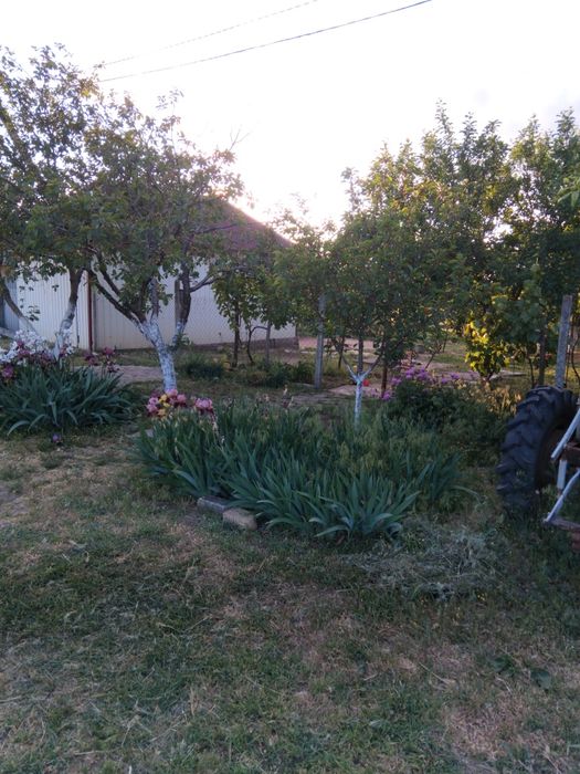 Продаж будинку  в Миколаєві