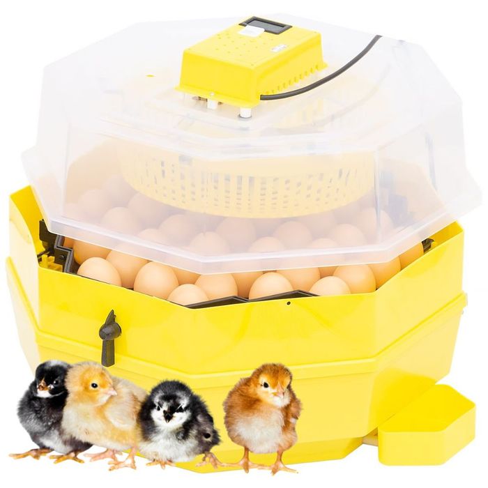 Inkubator do jaj z klujnikiem iBator HOME 120 TERMOMETR I HIGROMETR