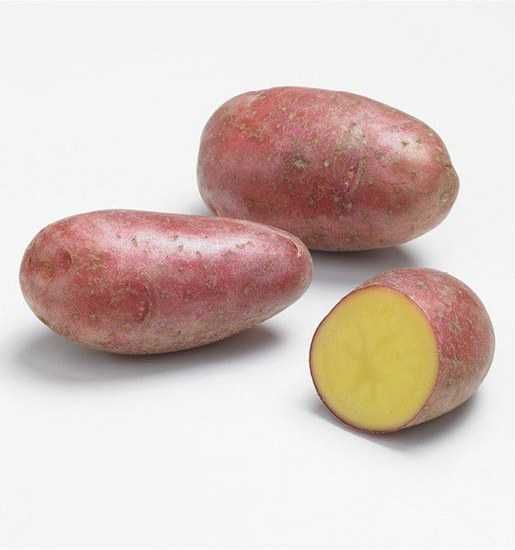 Batata semente - 25 Kgs