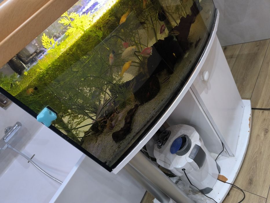 Sprzedam akwarium 80x30x35
