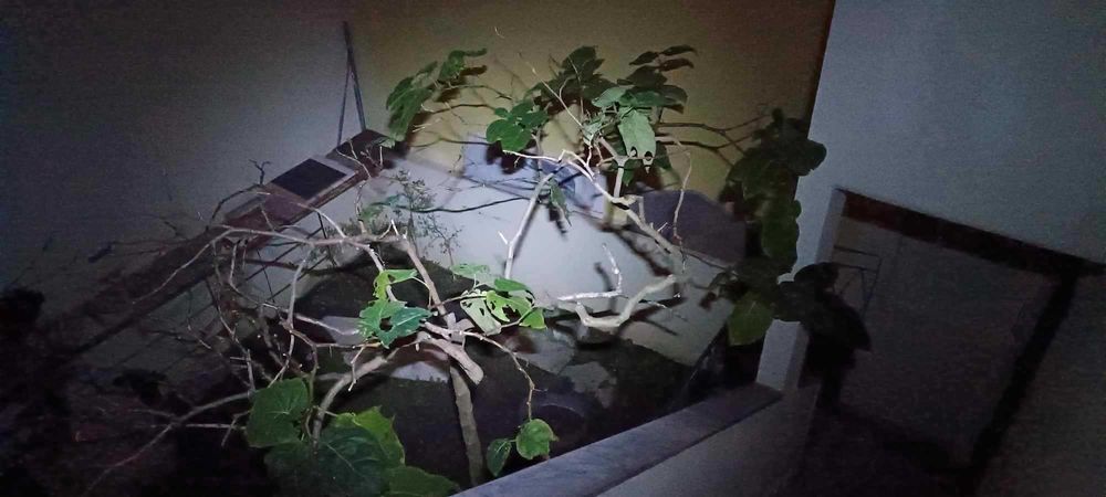 Lanterna de 11 Led´s para Chapéu (Nova)