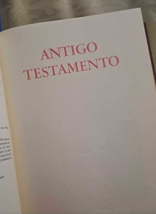 Bíblia Sagrada com medalhão