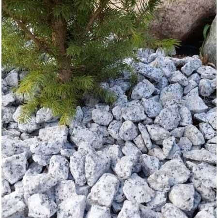 Grys granitowy Dalmatyńczyk Kamień