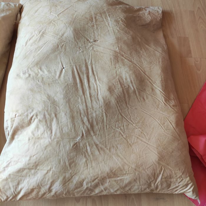 Poduszki z pierza puchowe 2 sztuki 70x80