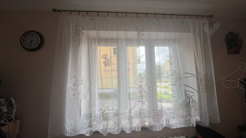 Firanka krotka w okno
