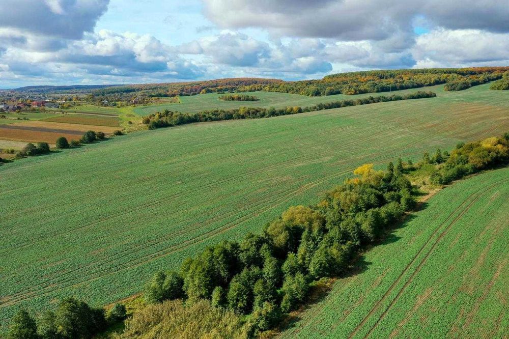 земля/Товарне виробництво/Новий розділ / Львівська область