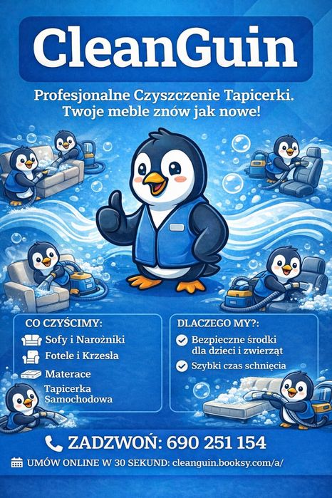 Pranie tapicerki meblowej - mobilna usługa Pabianice/Łódź