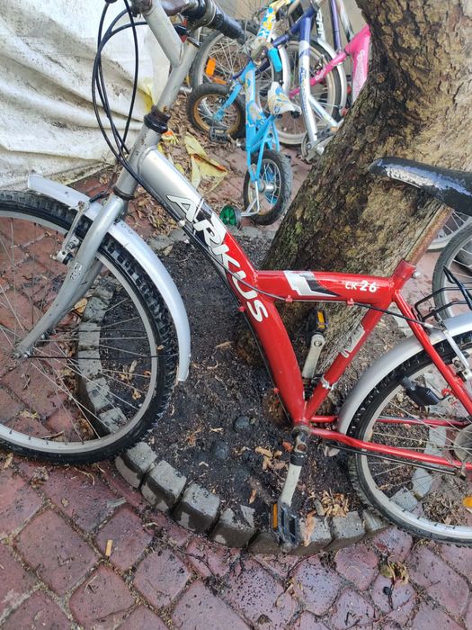 Rower gorski 26 calo